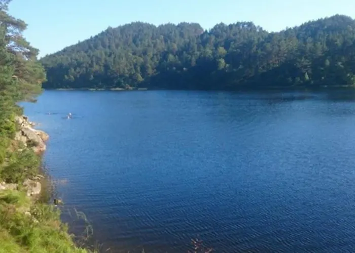 Leilighet Perfect Getaway 7 Min To Centrum *